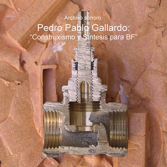 imagen 47. pedro pablo gallardo